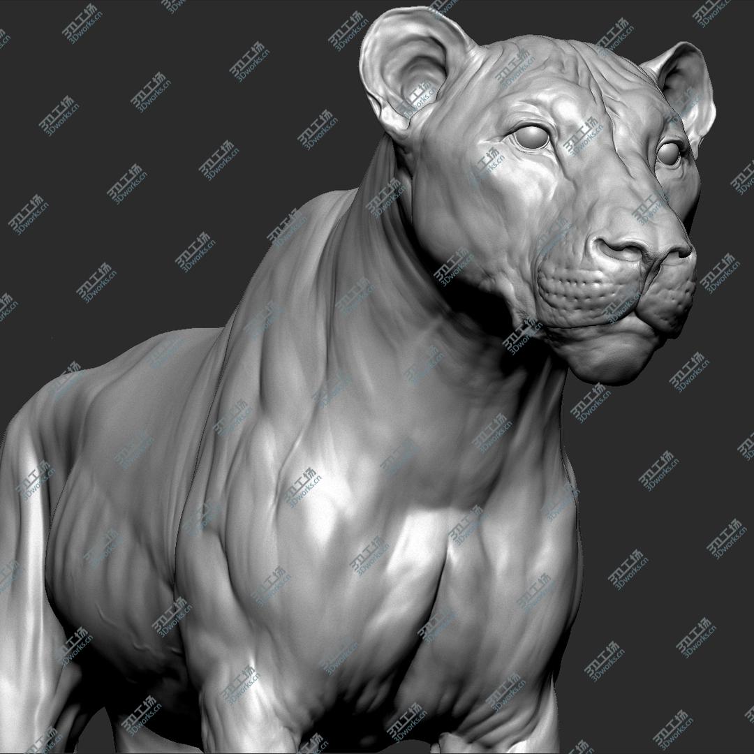images/goods_img/2021040161/3D model Lion (Big Cat) VFX Zbrush Sculpt/1.jpg